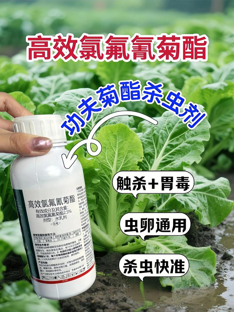 红桥代生中心:农药对供卵代生妈妈的危害